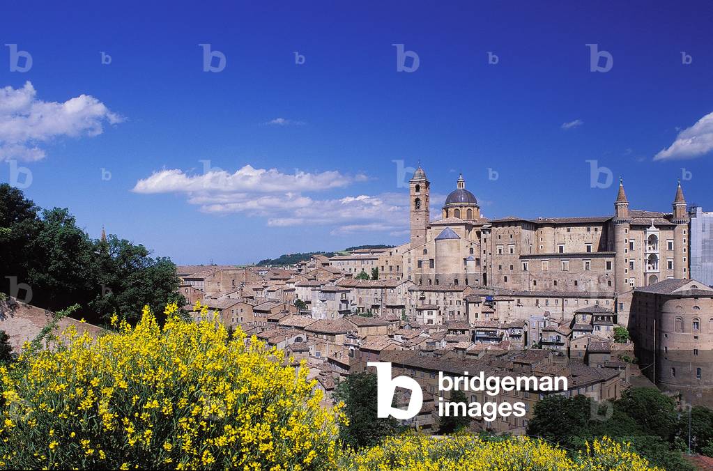 Urbino: Topographic Views, 1997 (photo)