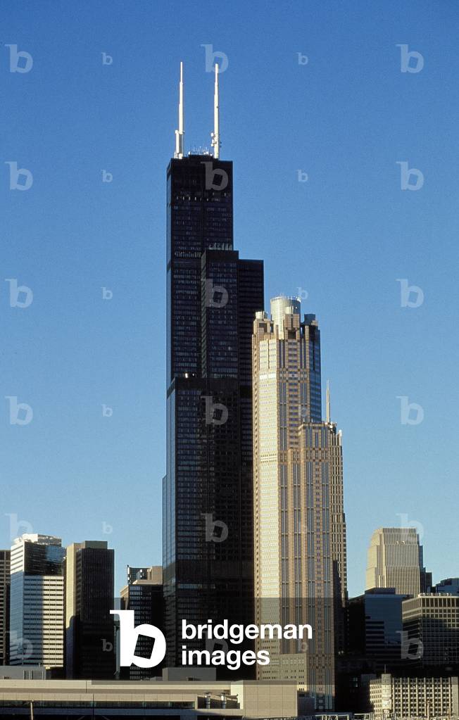 Chicago: Skylines, Topographic Views, 1995 (photo)