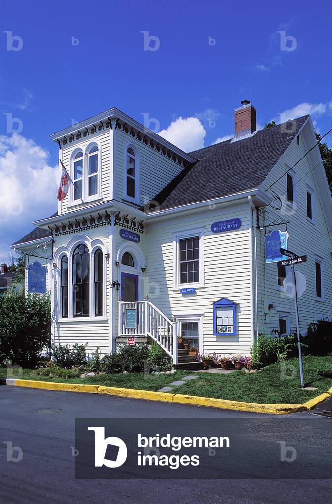 Topographic Views, Lunenburg, Nova Scotia, 1995 (photo)