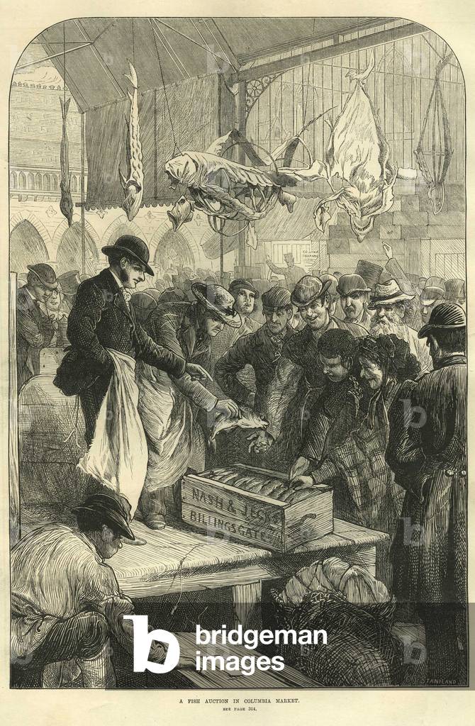NLI Magazine Plate, UK, 1870s