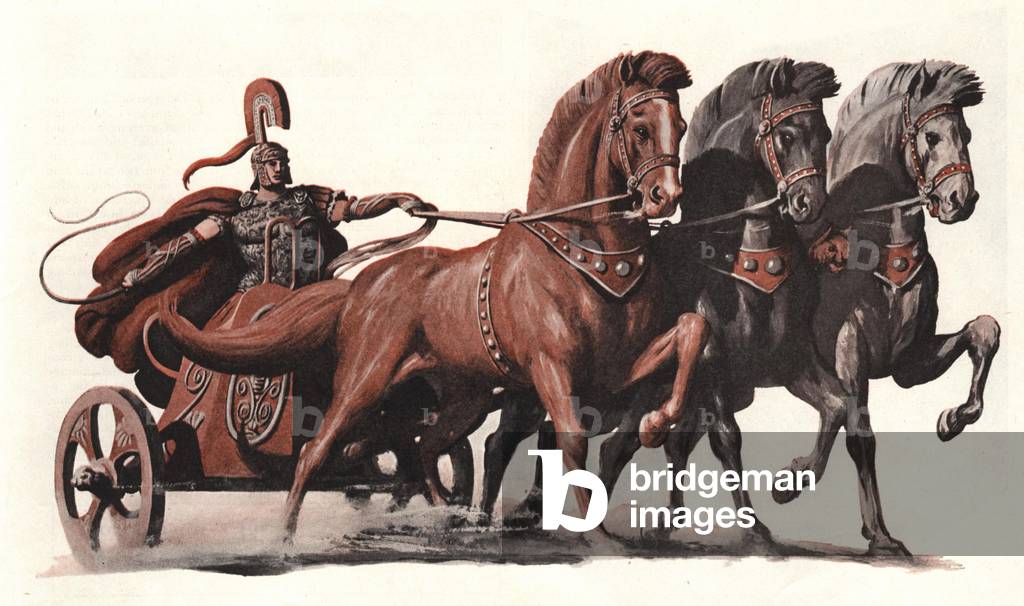 romans chariots gladiators insurance