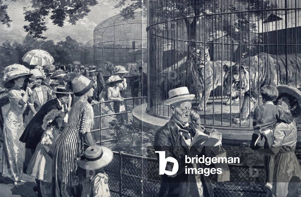 London Zoo, 1890s