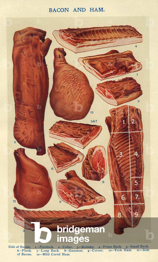 Mrs Beeton's Book of Household Management Book Plate, UK, 1900s