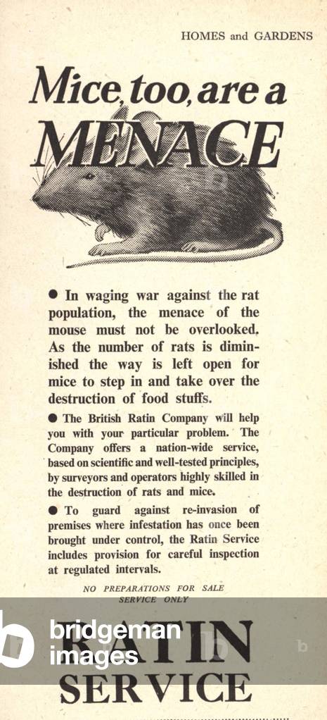 Ratin Rats Poison Magazine, advert, UK, 1950s