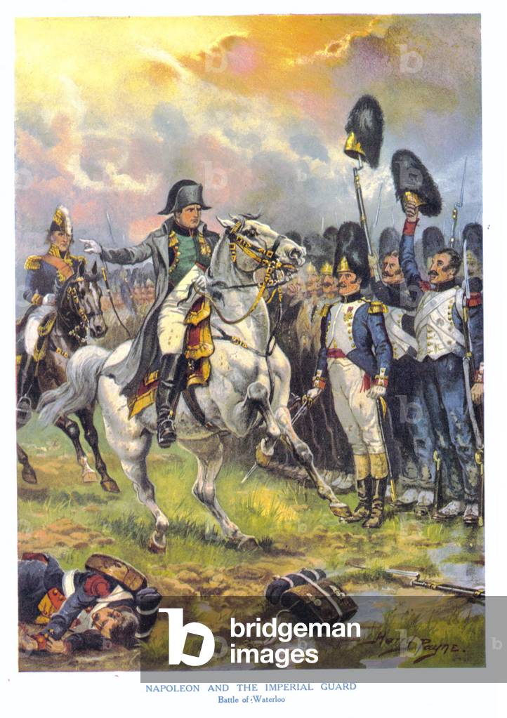 Napoleon Book Plate, UK