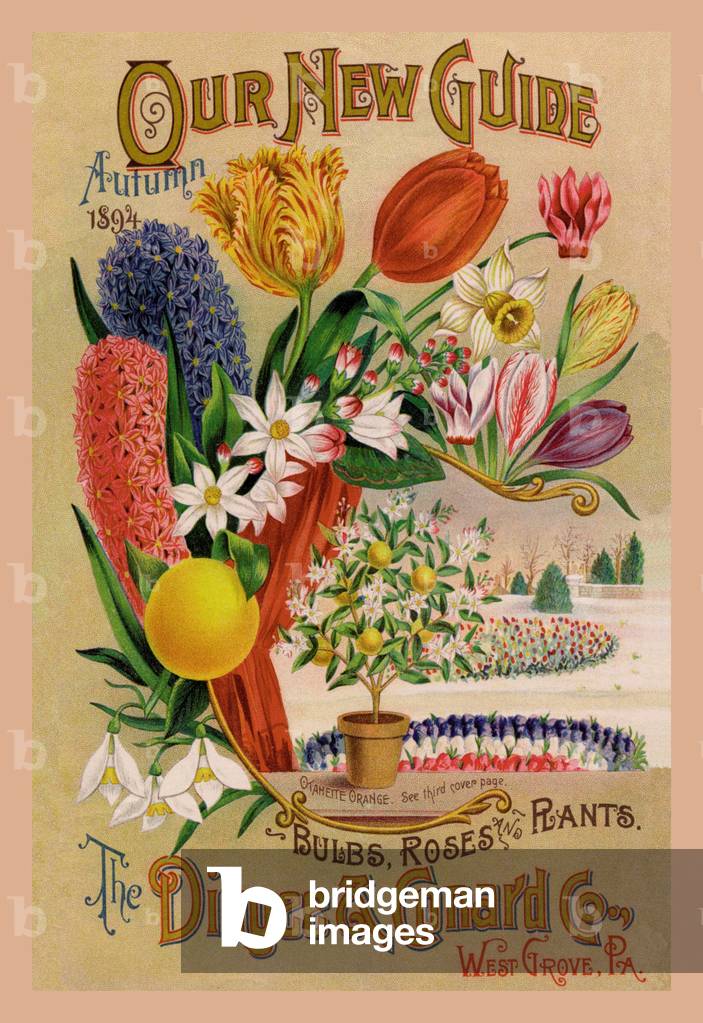 Our New Guide, Autumn 1894, Seeds - catalog Advertising