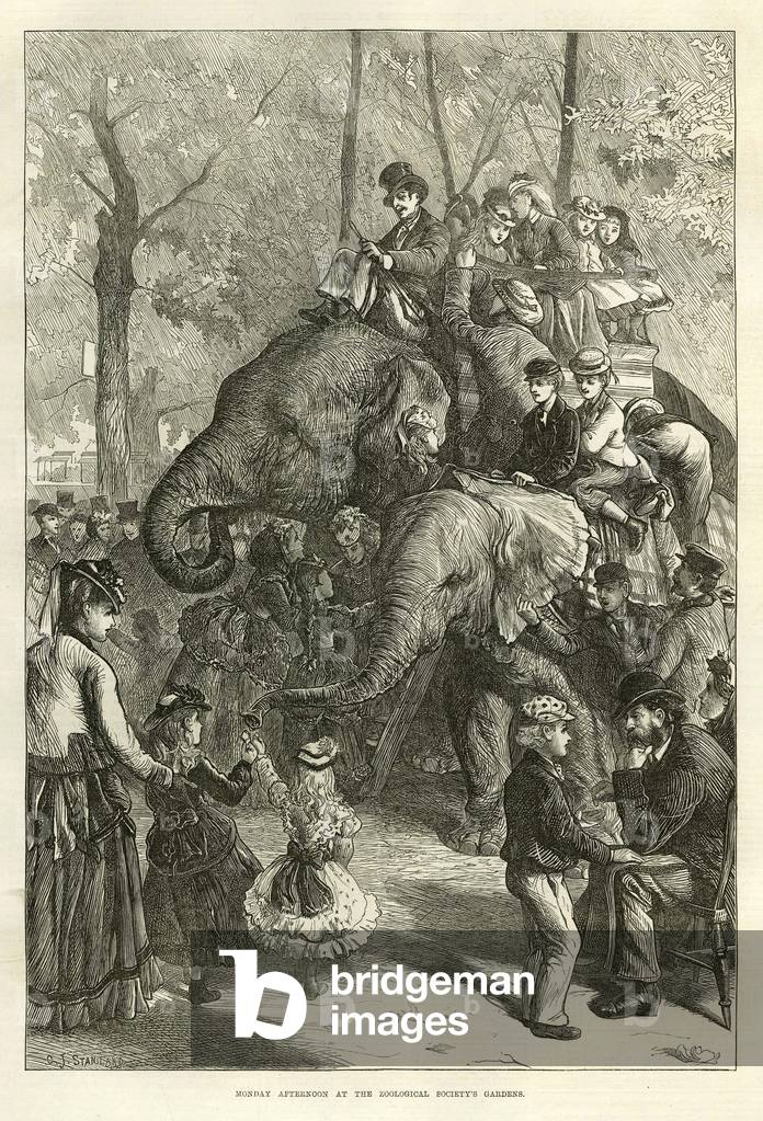 NLI Magazine Plate, UK, 1870s