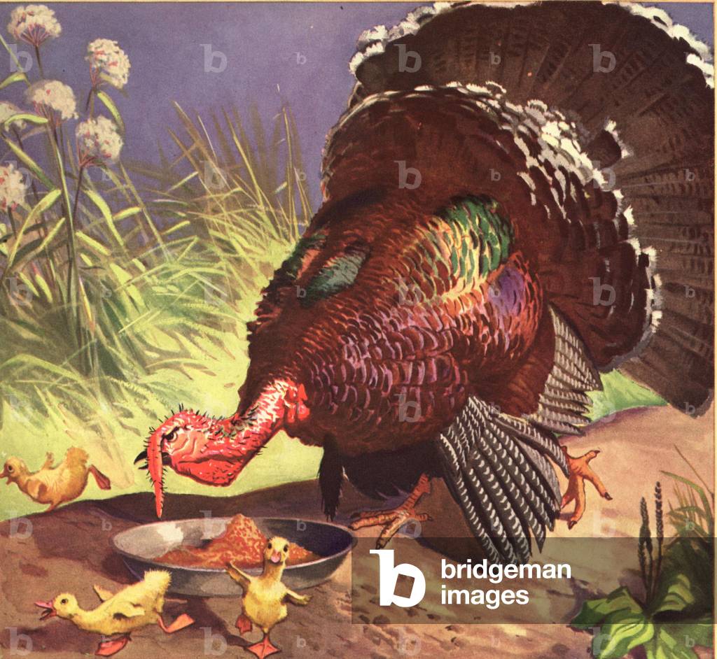 Turkeys Magazine, advert (detail), USA, 1930s