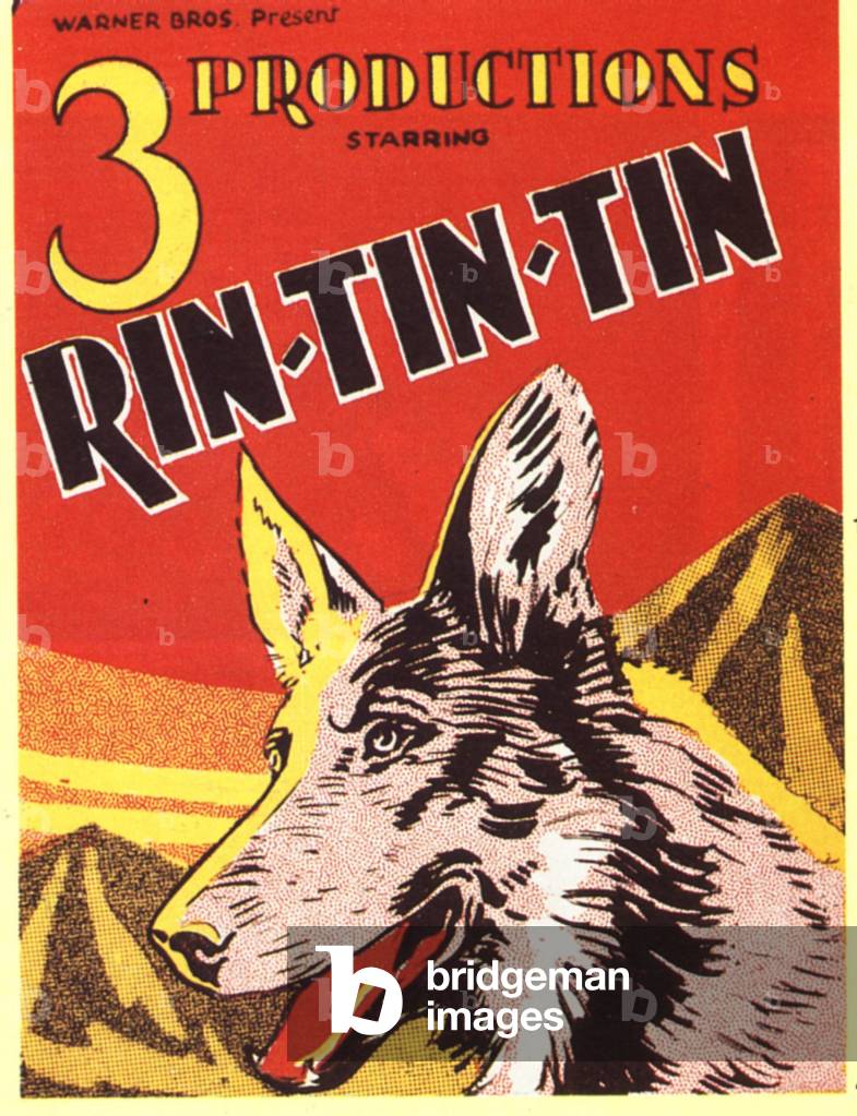 Rin-Tin-Tin, 1920s
