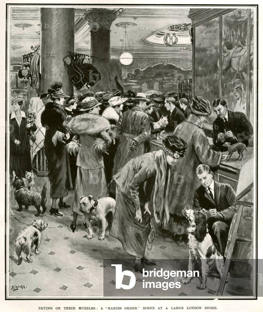 Rabies Magazine Plate, UK, 1910s