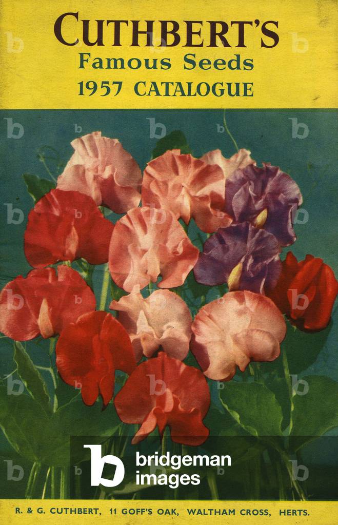 Cuthberts Catalogue Cover, UK, 1950s
