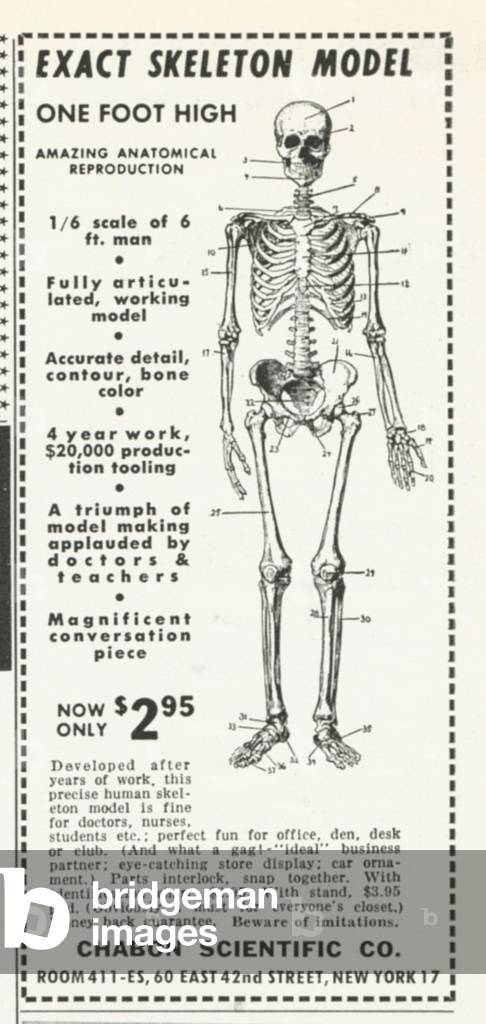 Skeleton Magazine, advert, USA, 1950s