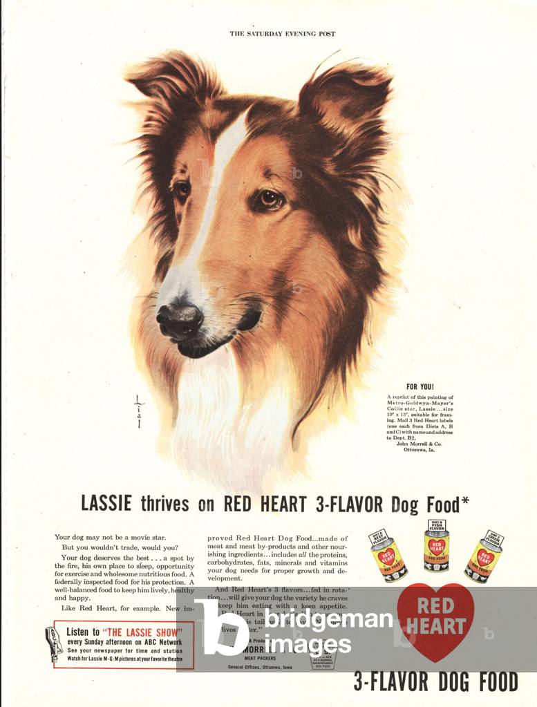 Red Heart Magazine, advert, USA, 1950s