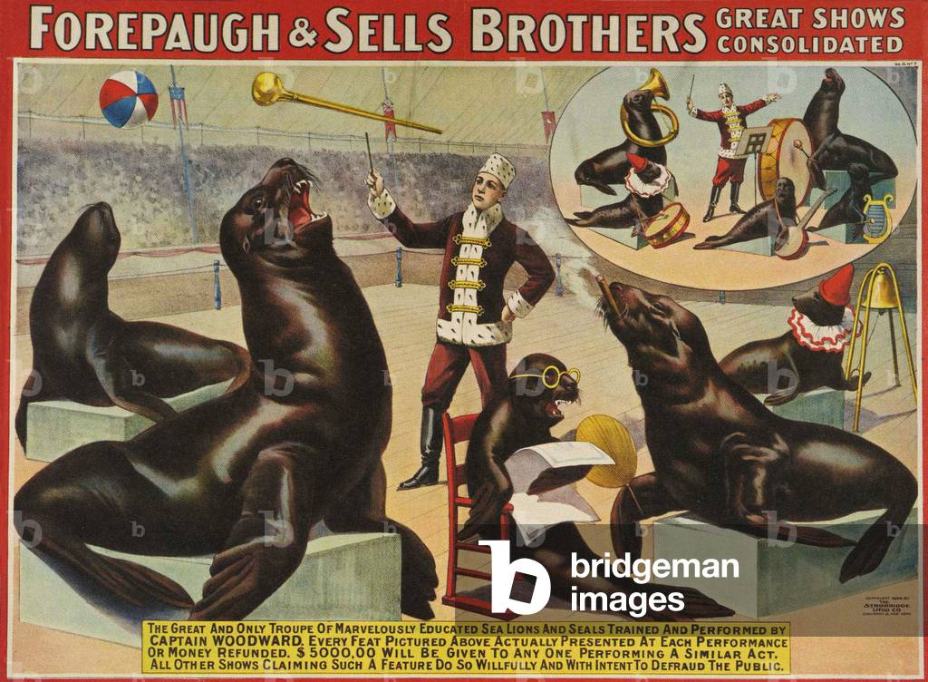 Forepaugh & Sella Brothers, poster,, 1900s