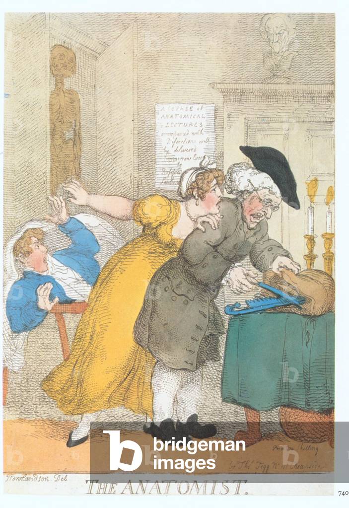 The 'Anatomist, 1840s