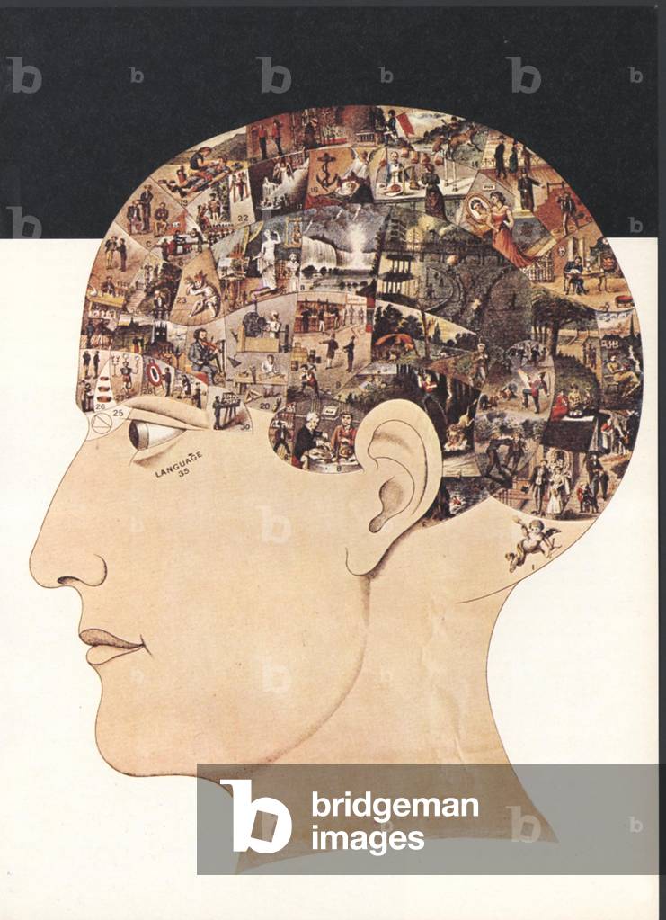 Phrenology Chart Book Plate, UK, 1930s