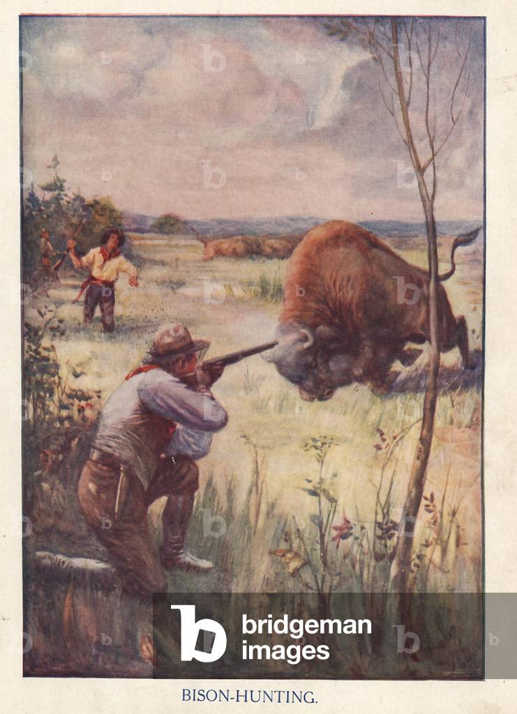 Shooting Buffalos Book Plate, UK, 1880s