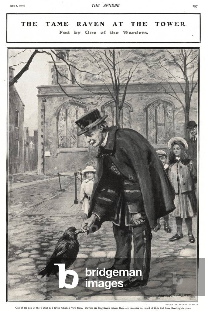 The Raven At The Tower Magazine Plate, UK, 1900s