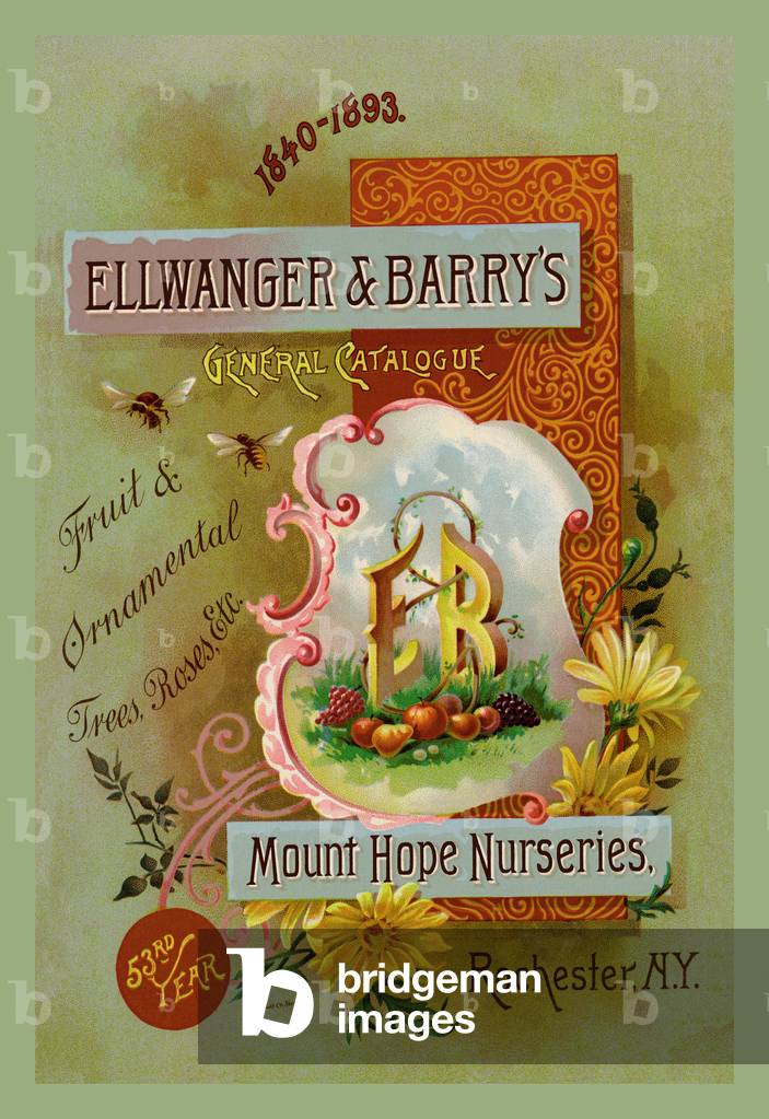 Ellwanger and Barry's General Catalogue, Seeds - catalog Advertising