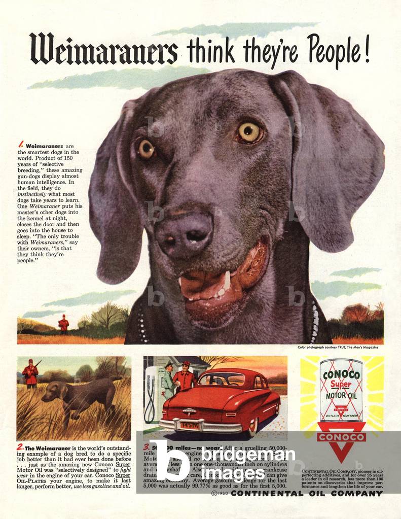 Conoco Magazine, advert, USA, 1950s