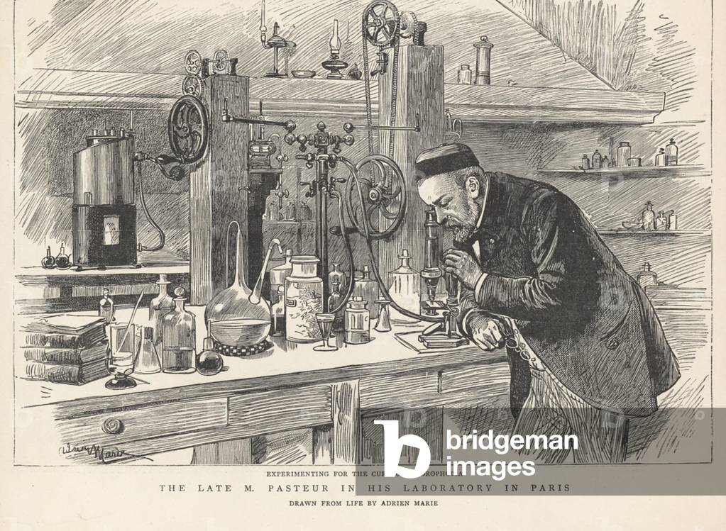 Louis Pasteur Magazine Plate, UK, 1880s