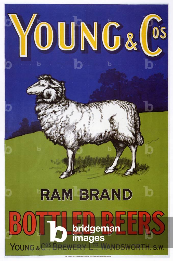 Young & Co Poster, 1900s