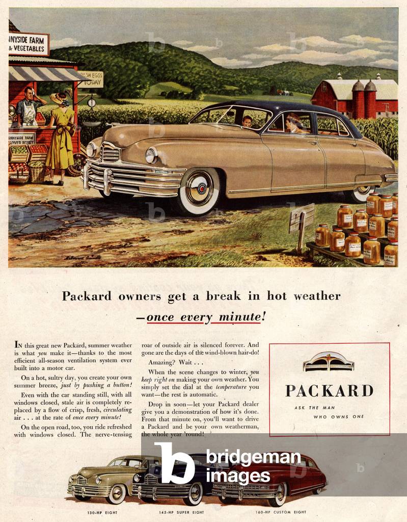 packard cars, 1940s (print)