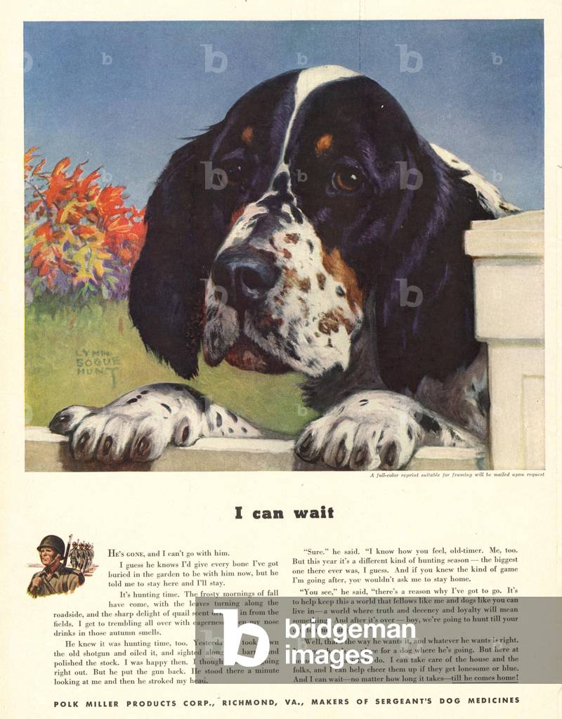 Dog Medicine Magazine, advert, USA, 1940s