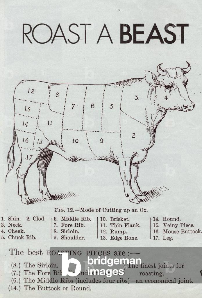 Beef Cuts Book Plate, UK, 1900s