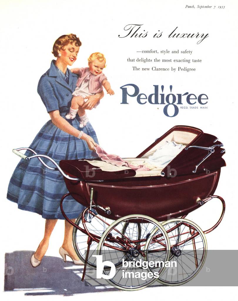 Advertising for Baby Prems Pedigree, UK, 1950s (print)