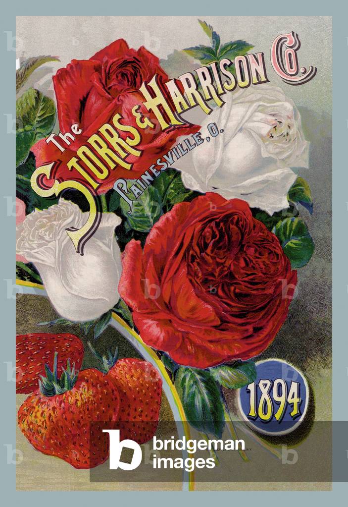 Storrs and Harrison Co., 1894, Seeds - catalog Advertising