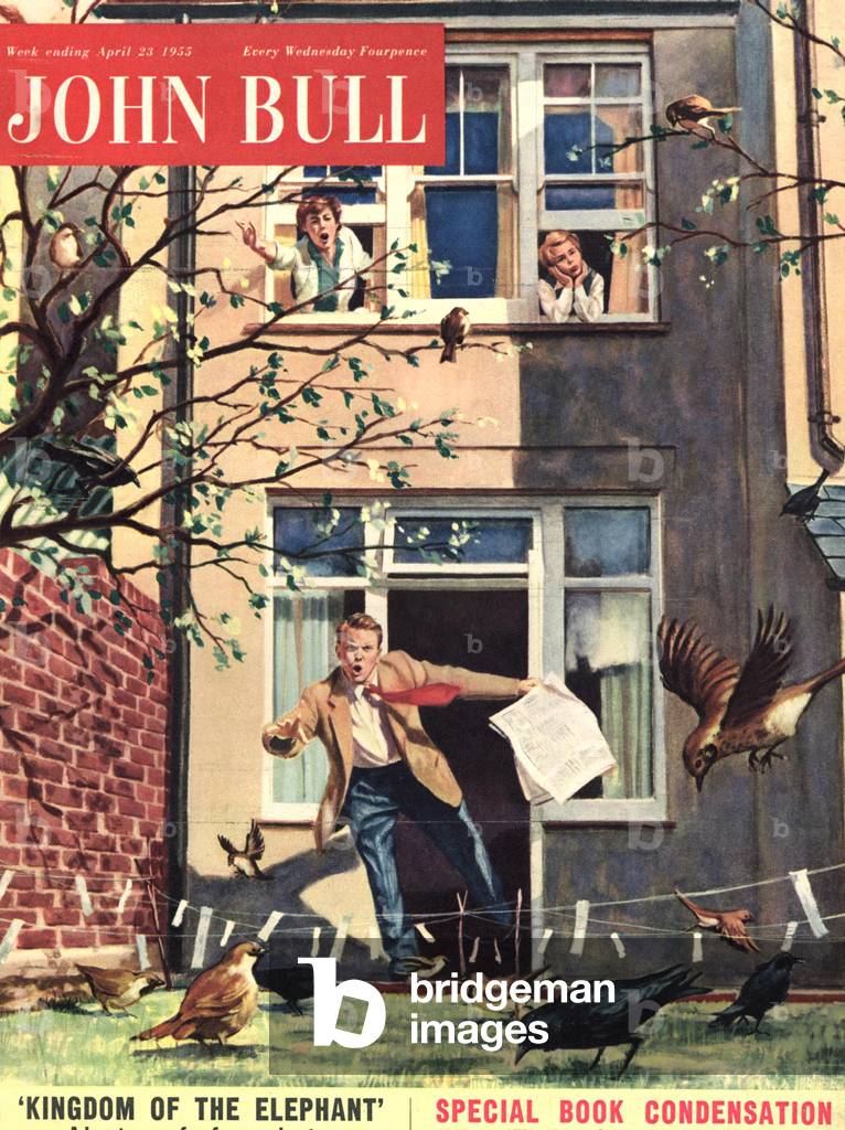 John Bull Magazine Cover, UK, 1950s