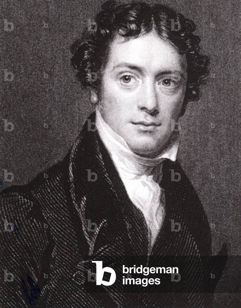 Portrait of Michael Faraday, 19th century (engraving)