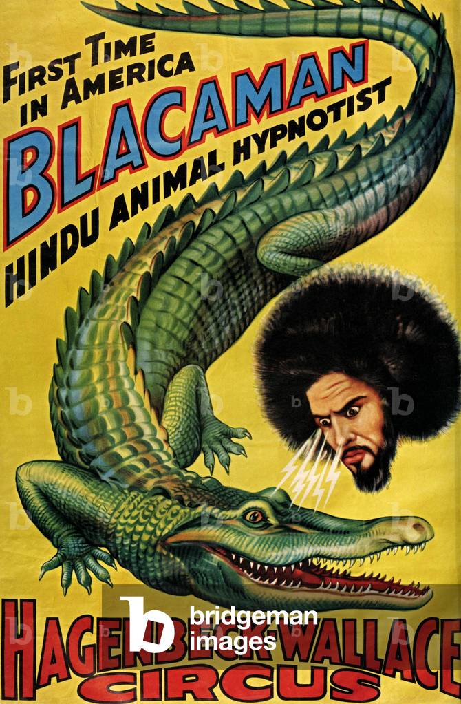 Animal Hypnosis, poster, USA, 1930s
