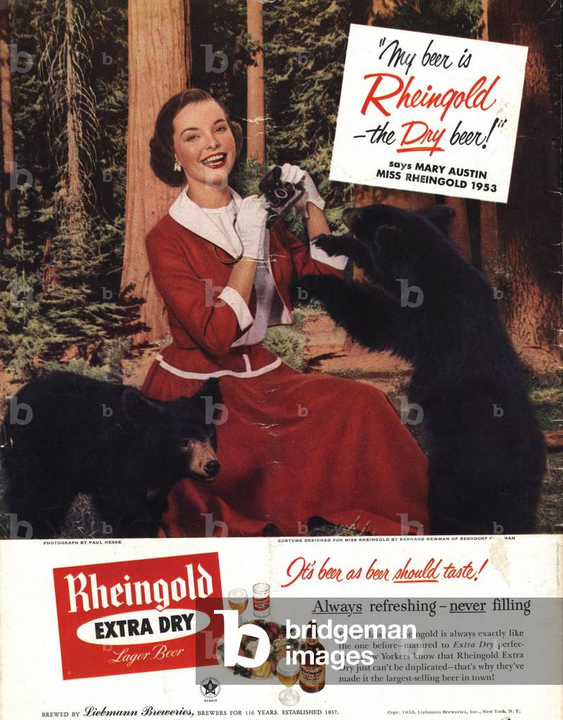 beer rheingold bears alcohol, 1950s (print)