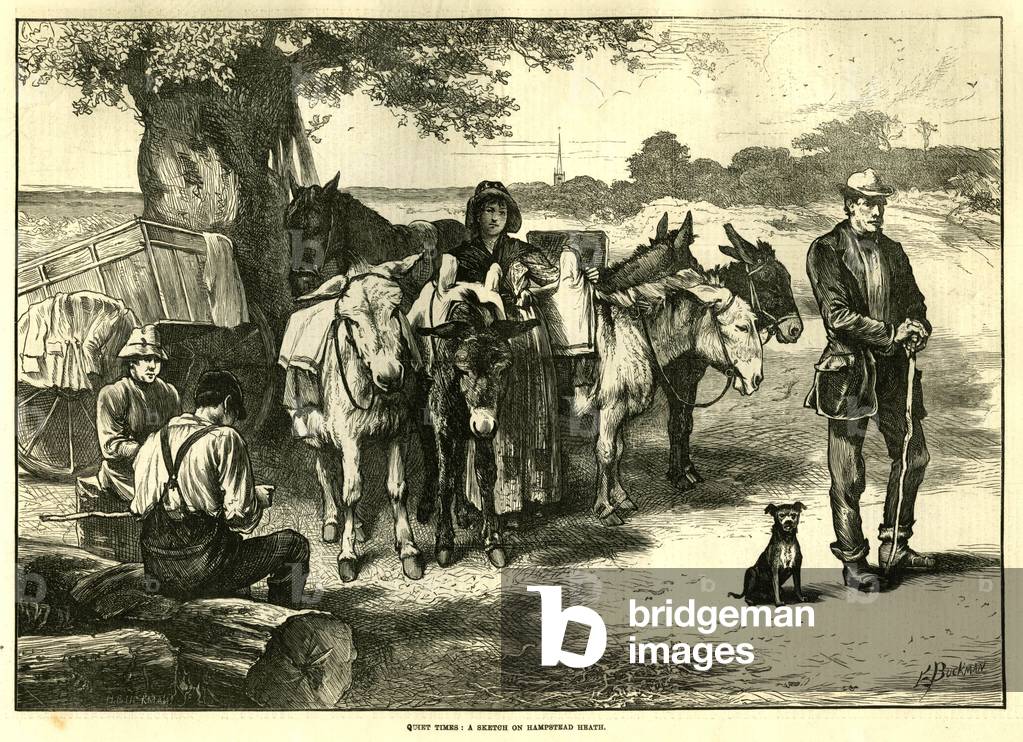 Hampstead Heath Magazine Plate, UK, 1870s