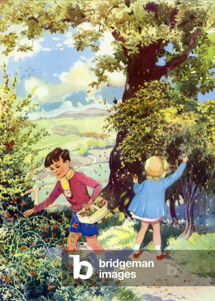 Infant School Illustrations Book Plate, UK, 1950s