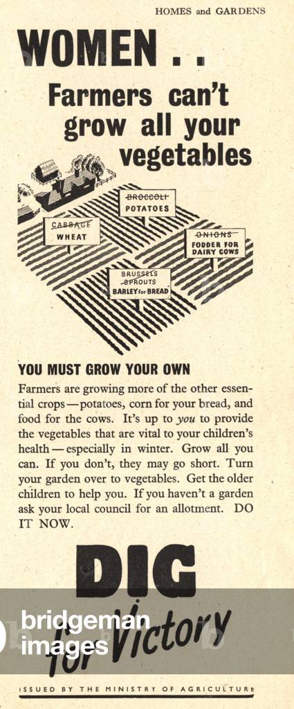 Dig for Victory Poster, UK, 1940s