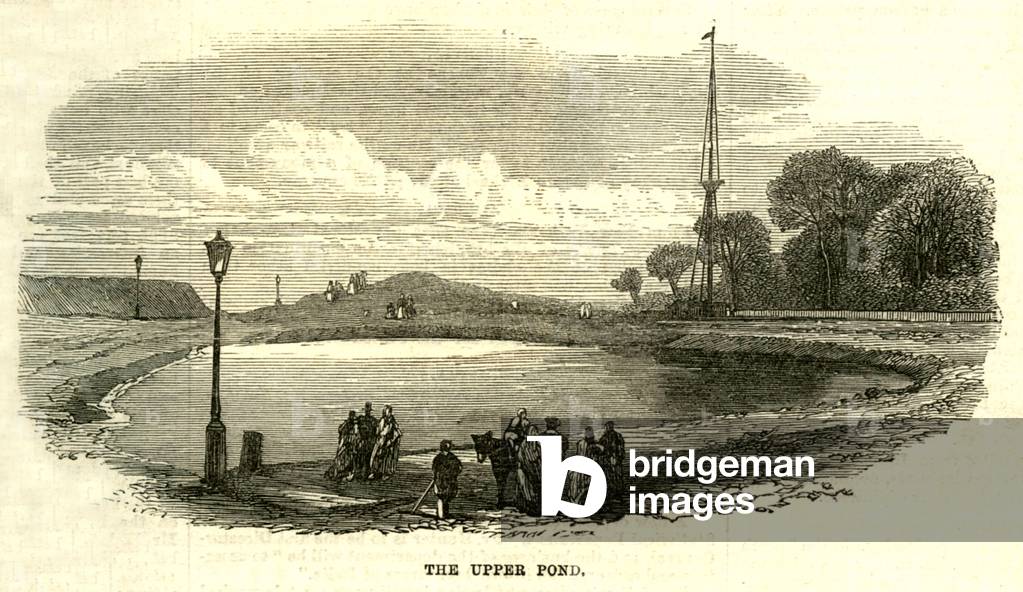 Hampstead Heath Magazine Plate, UK, 1870s