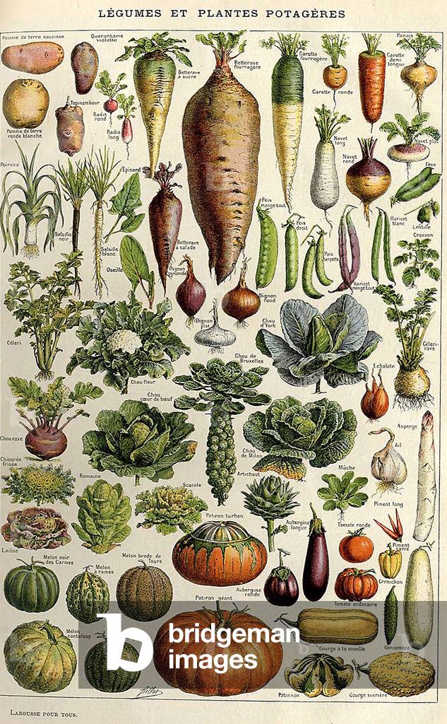 Vegetables Magazine Plate, France, 1900s
