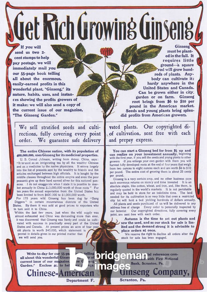 Ginseng Magazine, advert, USA, 1900s