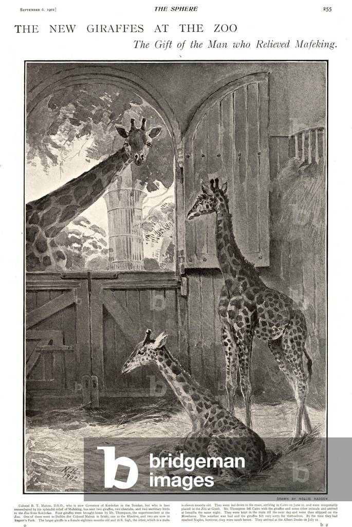 The Sphere Magazine Plate, UK, 1900s