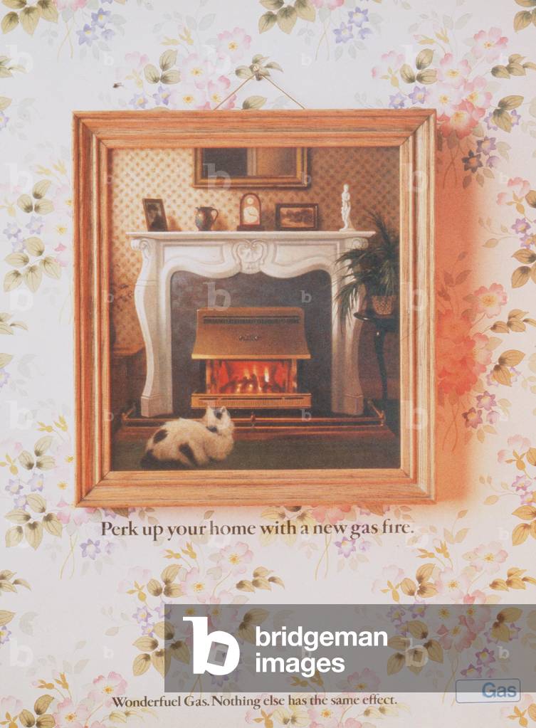 fires fireplaces
