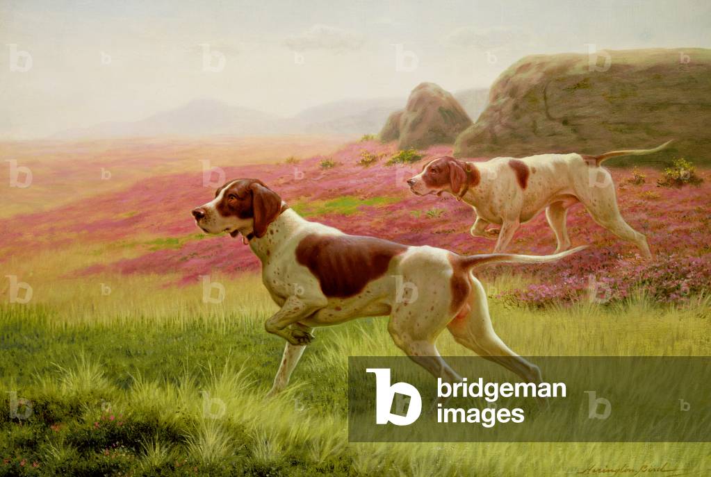 Pointers in a Landscape, 19th century
