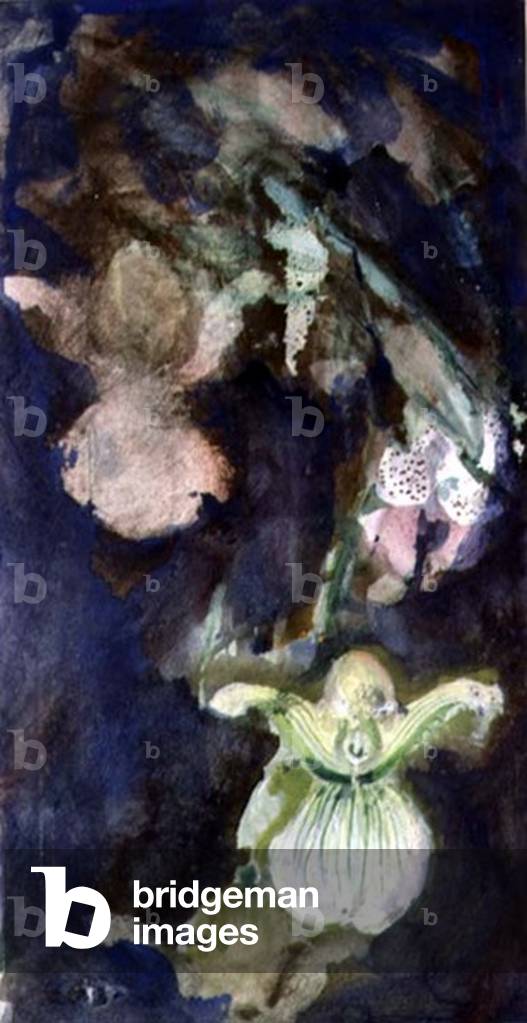 "Slipper Orchids (Aquarell)" von Lily Blatherwick
