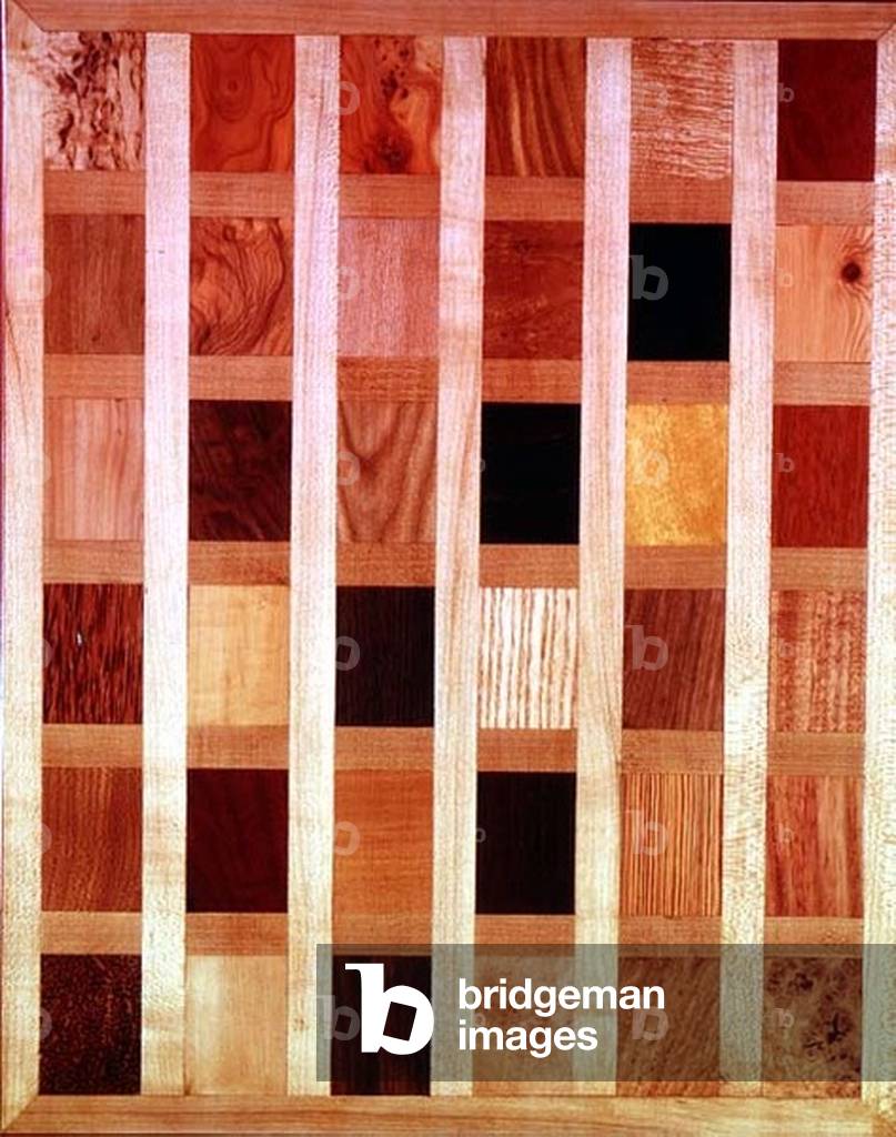 Board comprising the various woods used in furniture making