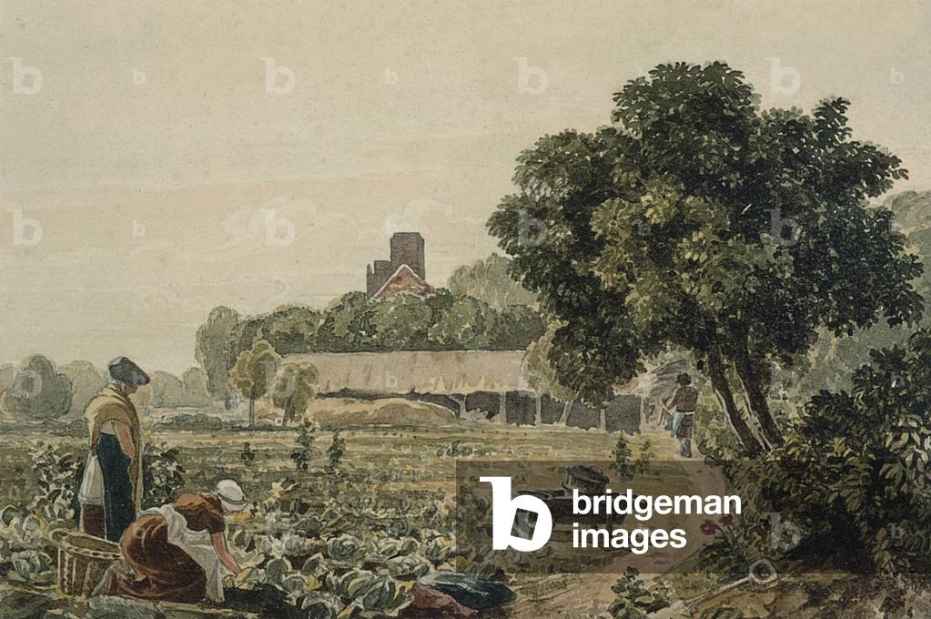 Market Garden at Chelsea