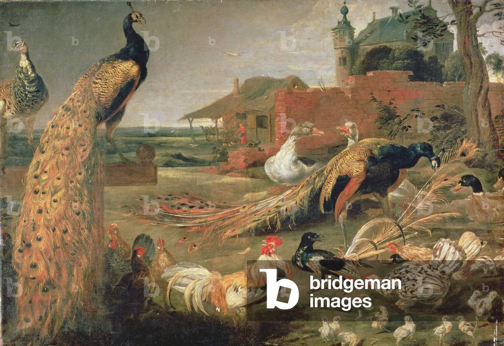 Image of Painting depicting A Crow in Peacock's Feathers (oil on canvas), 17th century by Paul de Vos