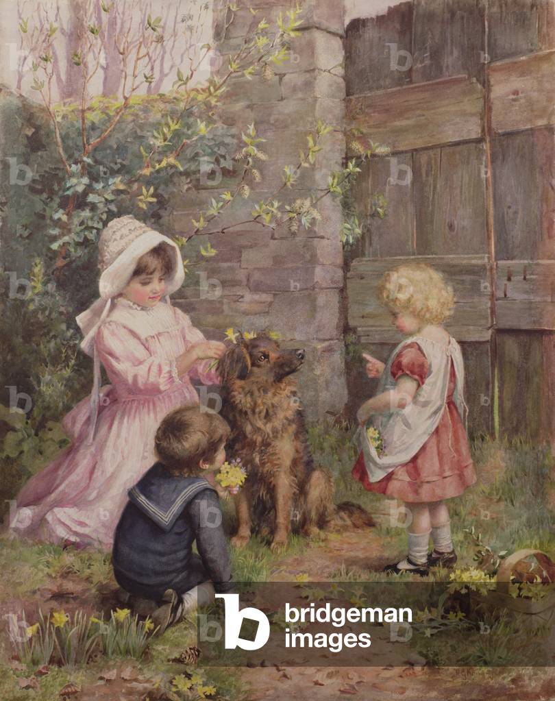 The Collie's Birthday