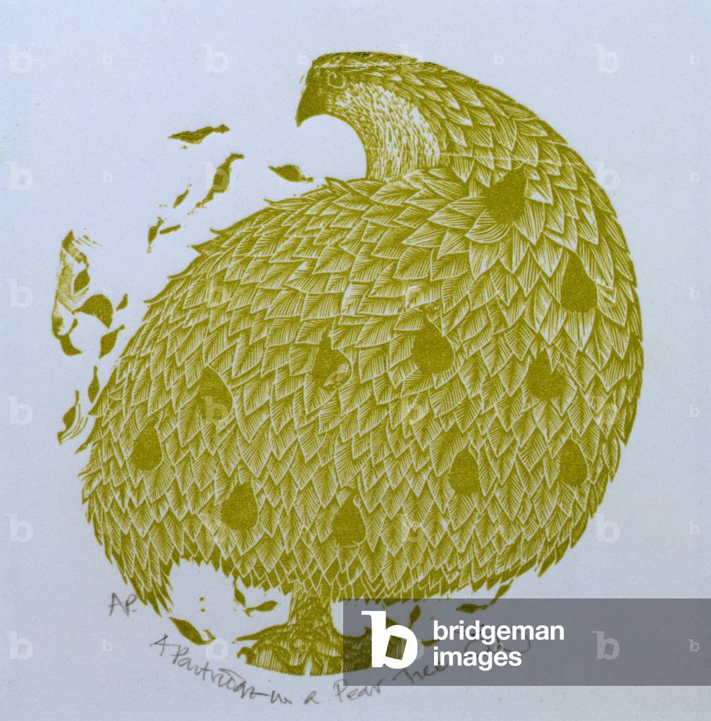 A Partridge in a Pear Tree (wood engraving)